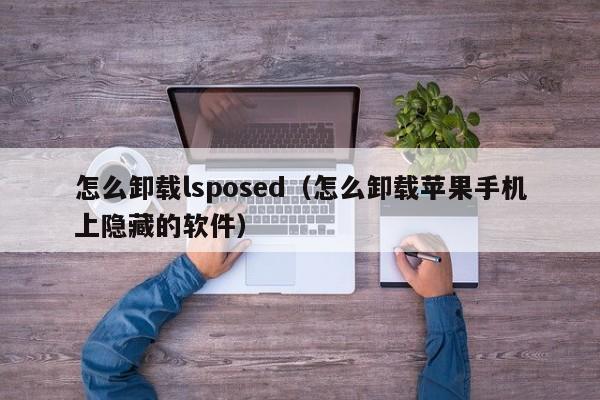 快速卸载手机软件苹果版苹果手机卸载不了的软件怎么强制卸载