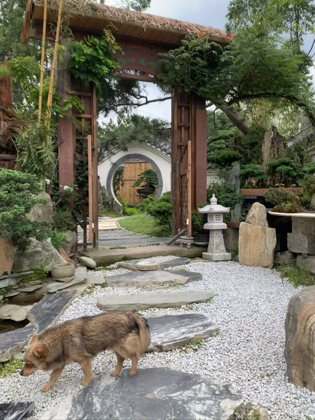 苹果版易道出境易苹果版下载