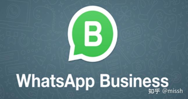 whatsapp安卓版软件gbwhatsapp2024-第2张图片-太平洋在线下载