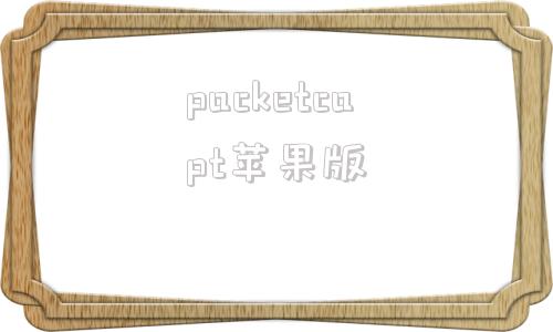 packetcapt苹果版免费pocketcas安卓版