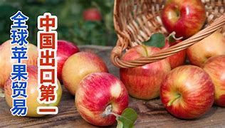 苹果5s国际版回收苹果5s多少钱一部
