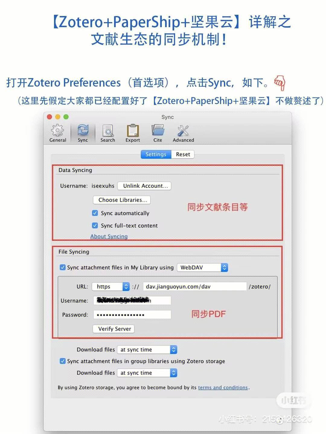 zepteo安卓版zepeto官网下载