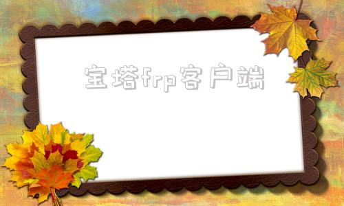 宝塔frp客户端frp安卓客户端下载