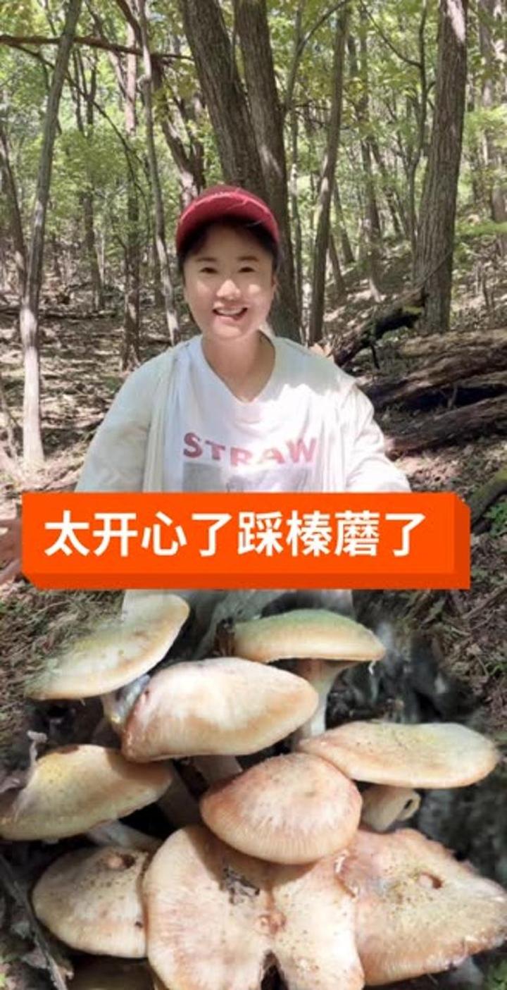 踩蘑菇社区手机版下载流放之路踩蘑菇社区官网