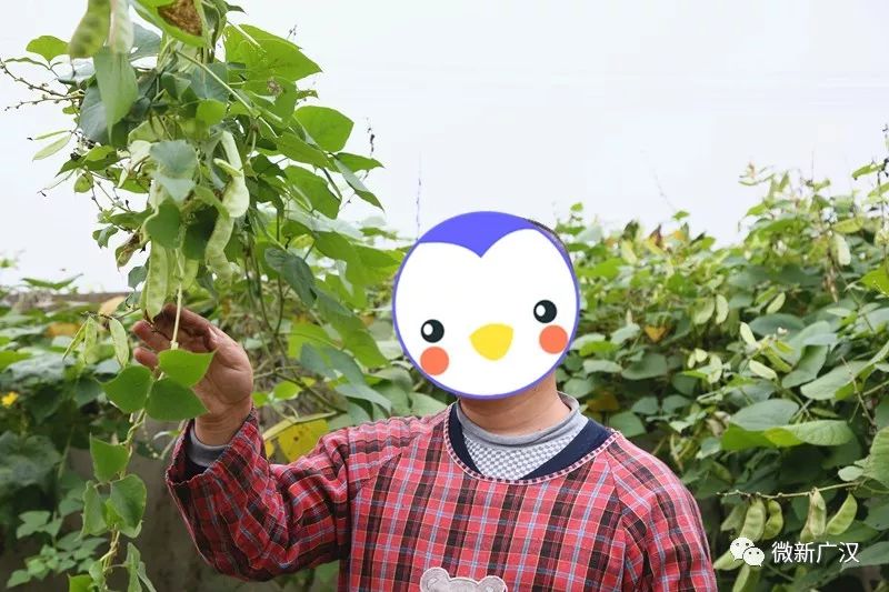 量服app苹果版专业app刷注册量软件