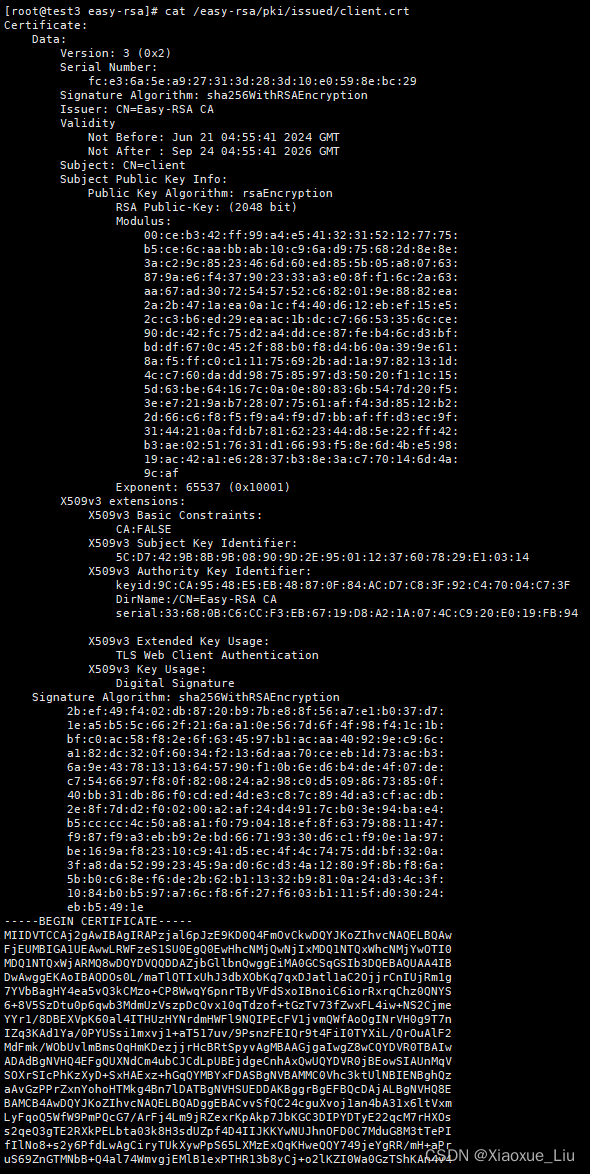openvpnios客户端开发的简单介绍