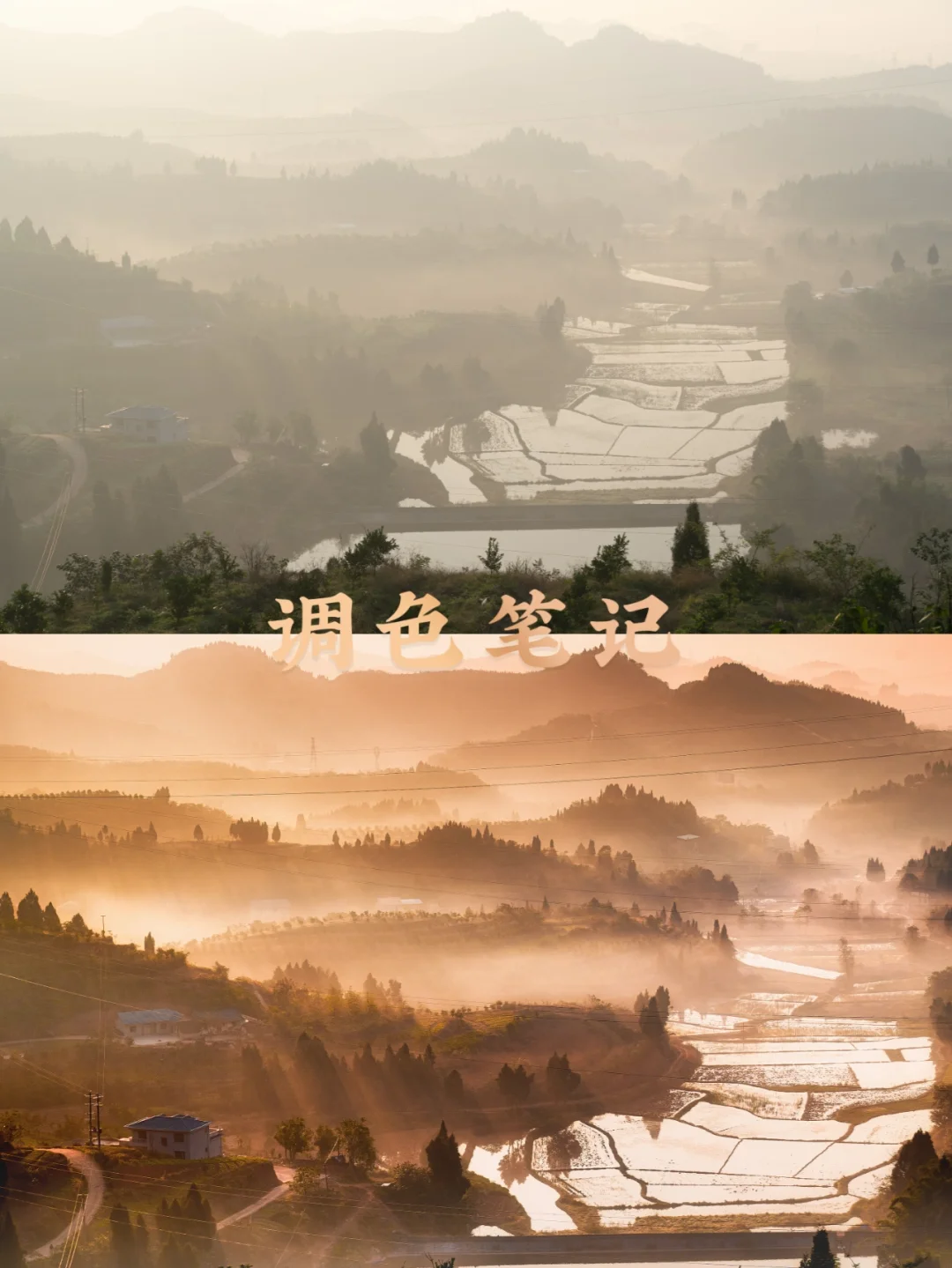调色教程风景安卓版cadrage取景器安卓中文版-第2张图片-太平洋在线下载