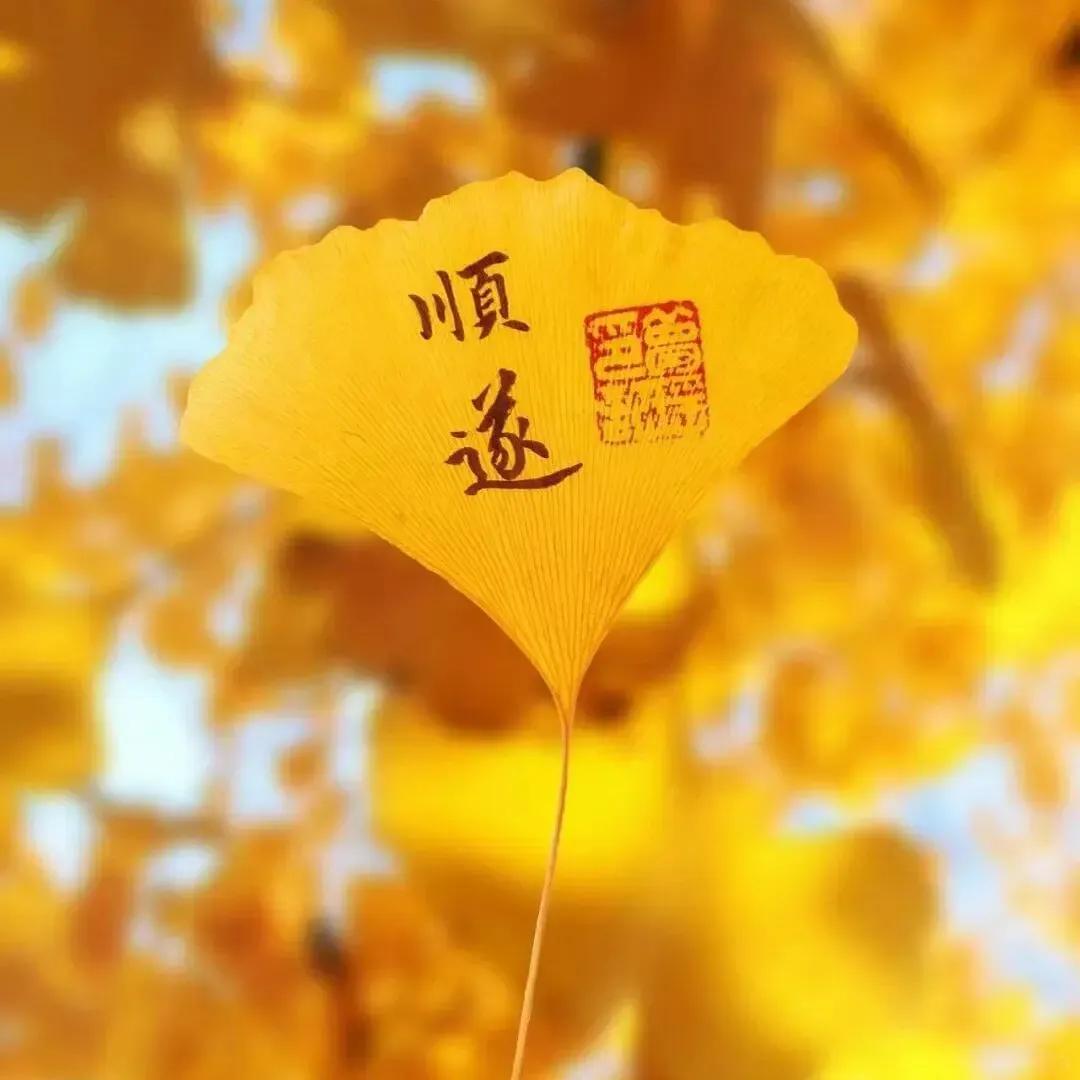苹果版好运头条今日头条ios旧版本大全-第2张图片-太平洋在线下载