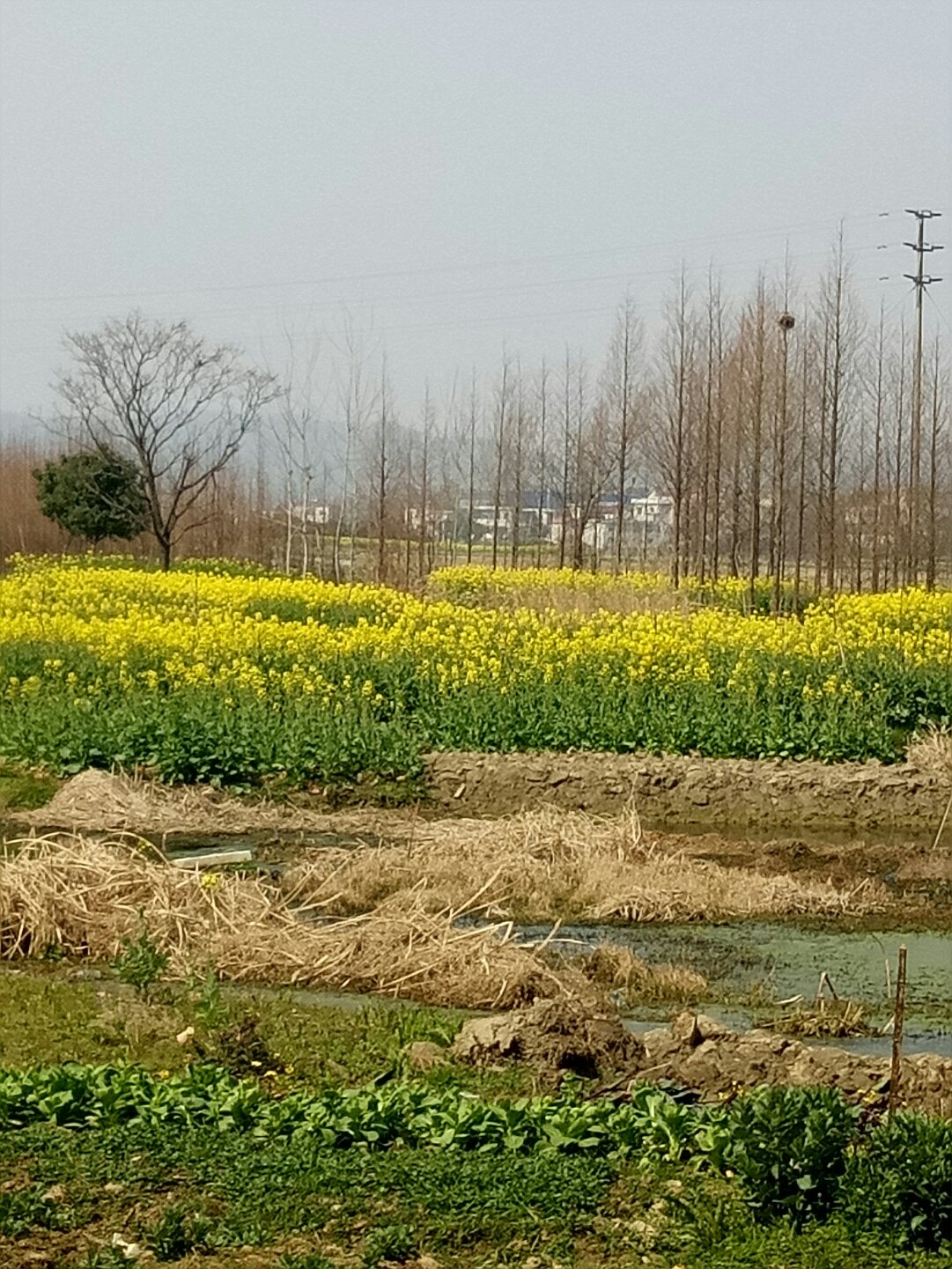 东至政府网手机版东至县人民政府手机网