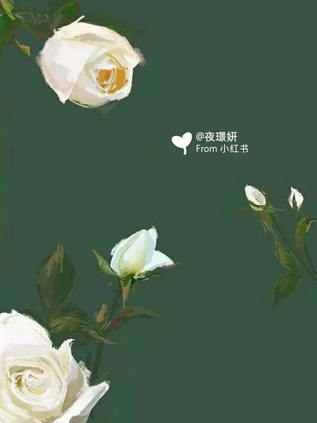 珍藏网手机版老窖真藏辉煌人生版